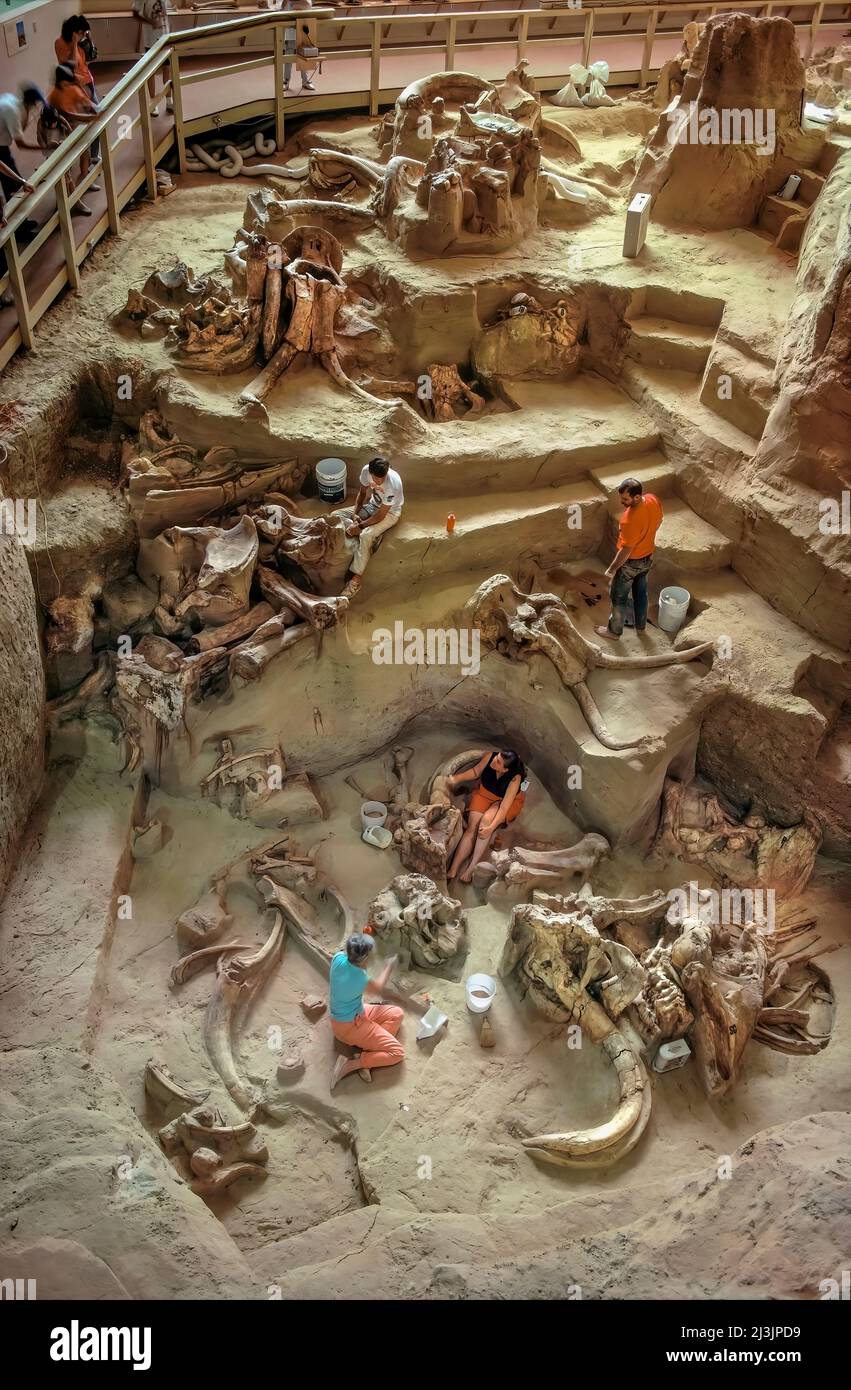Paleontólogos Excavando los restos de la Mamut Colombiana - El Sitio de la Mamut - Dakota del Sur Foto de stock