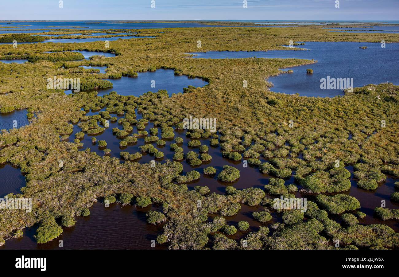 El Parque Nacional Everglades es un parque nacional en el estado de Florida. El parque natural subtropical más grande de los Estados Unidos, contiene el sou Foto de stock