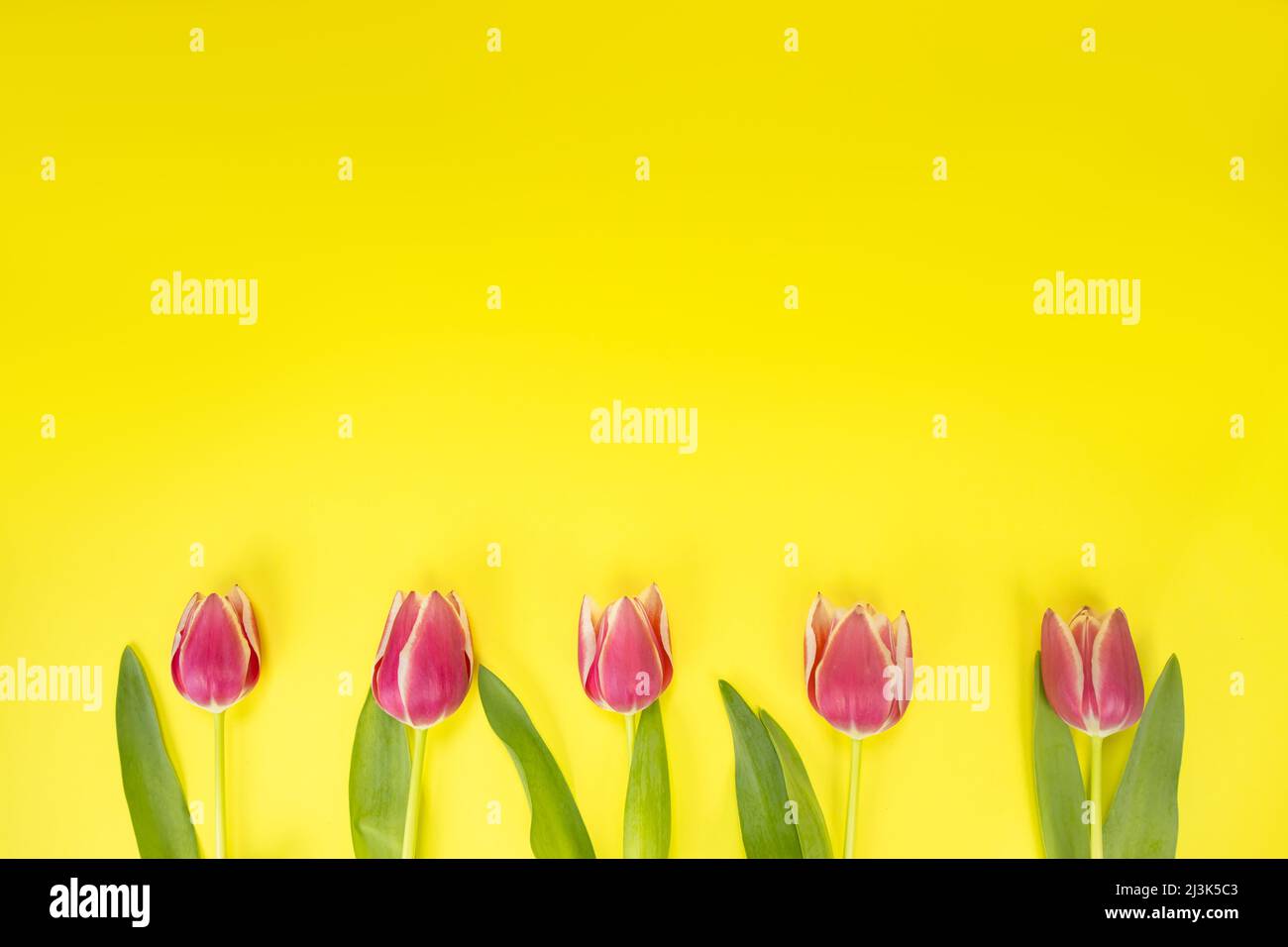 Anuncio de primavera fotografías e imágenes de alta resolución - Página 4 -  Alamy