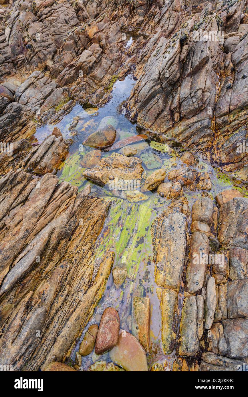 Belleza natural de un arroyo de agua clara sentado sobre una muestra de roca natural en el Parque Nacional de Agulhas; Cabo Agulhas, Cabo Occidental, Sudáfrica Foto de stock