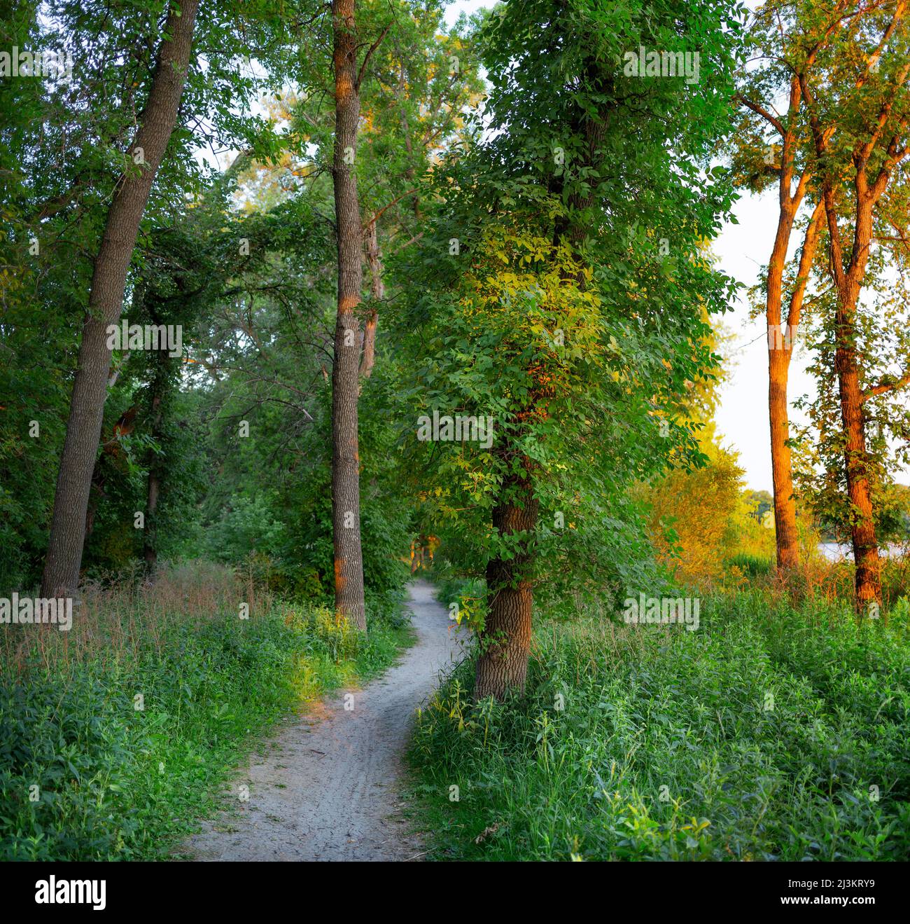 Parque frasers grove fotografías e imágenes de alta resolución Alamy