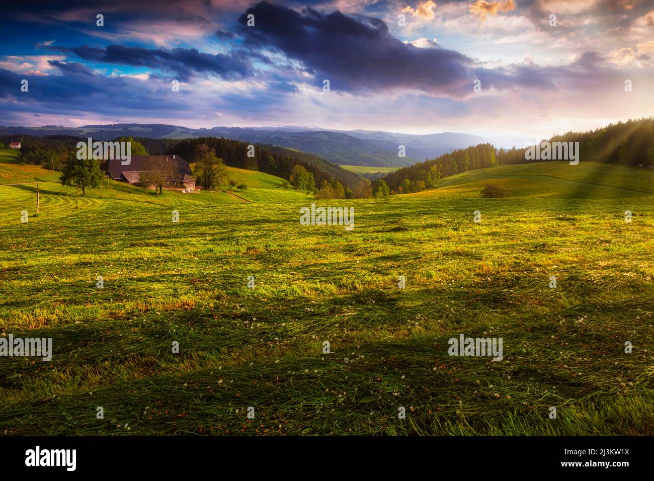 Granja en la luz de la noche, St.Märgen, Selva Negra, Baden-Württemberg, Alemania, Foto de stock