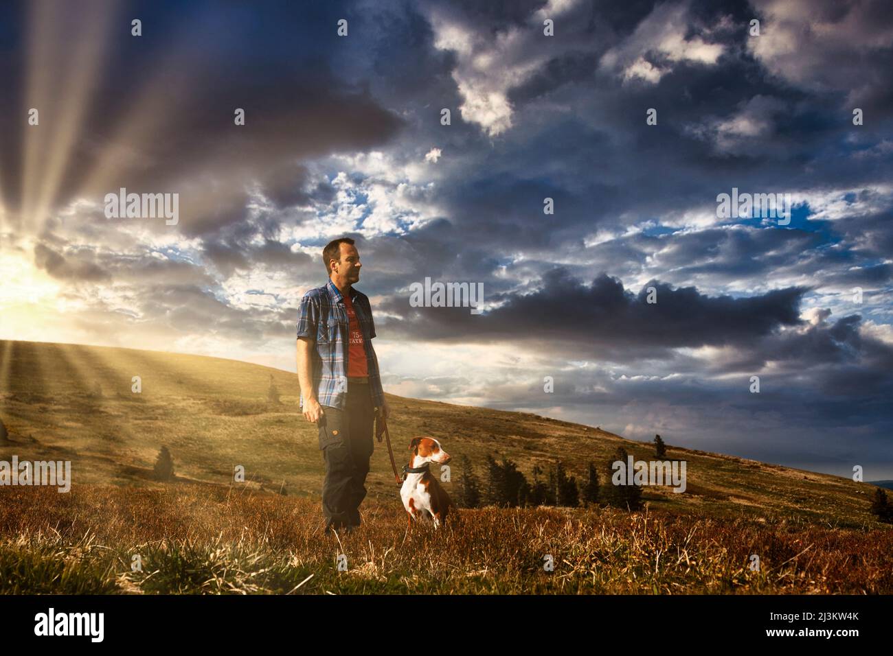 Excursionistas con un perro en la luz del sol en el Feldberg en la Selva Negra Foto de stock