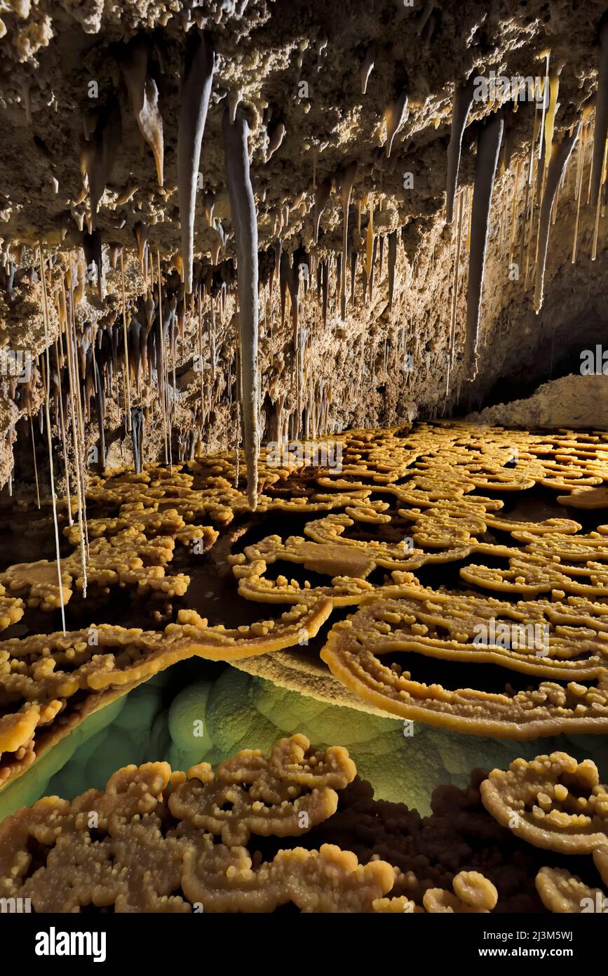 Rimstones, estalactitas y una piscina cubierta de agua en el Lago  Castrovalva dentro de la Cueva de Lechuguilla; Parque Nacional de las  Cavernas de Carlsbad, Nuevo México Fotografía de stock - Alamy