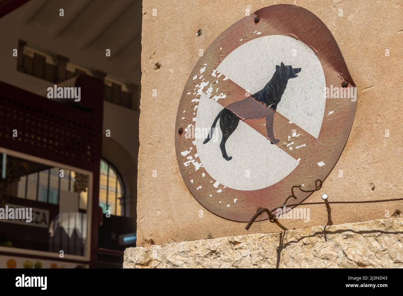 Primer plano de una señal que prohíbe la entrada de perros en un mercado municipal. Isla de Mallorca, España Foto de stock