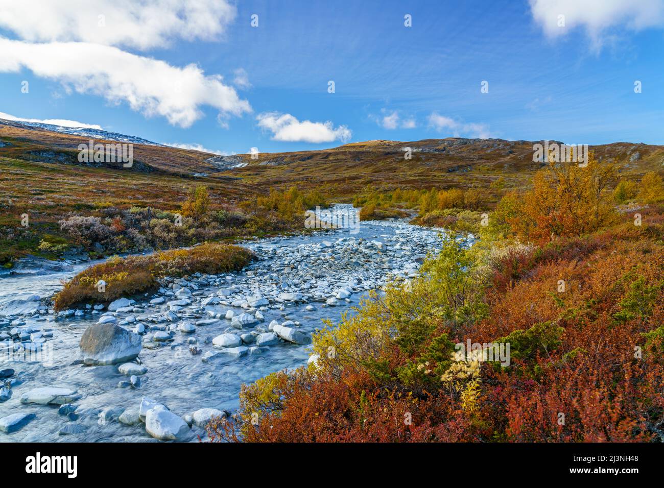 Rakkasjohka en la temporada de otoño con hermosos colores y agua clara, Björkliden, Laponia sueca, Suecia Foto de stock