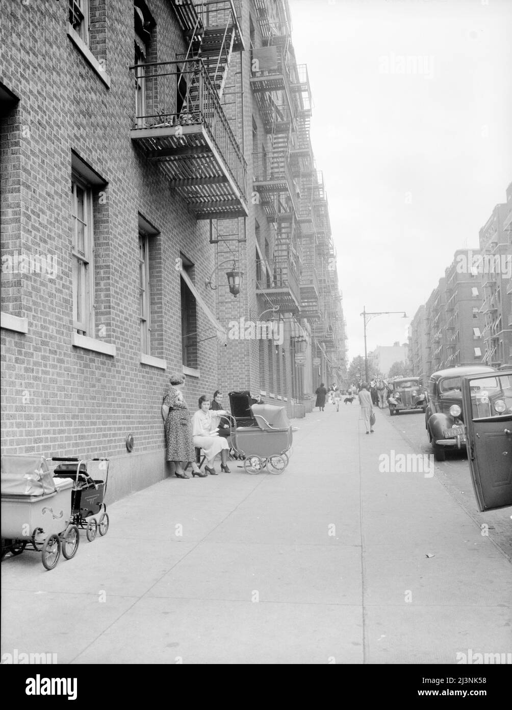 Bronx, Nueva York. Foto de fondo para el proyecto de Hightstown. Muchos