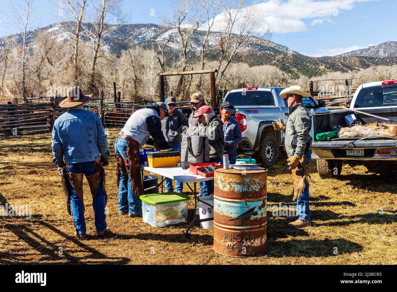 Voluntarios y amigos se reúnen en el evento de marca de primavera en Hutchinson Ranch cerca de Salida: Colorado; Estados Unidos Foto de stock