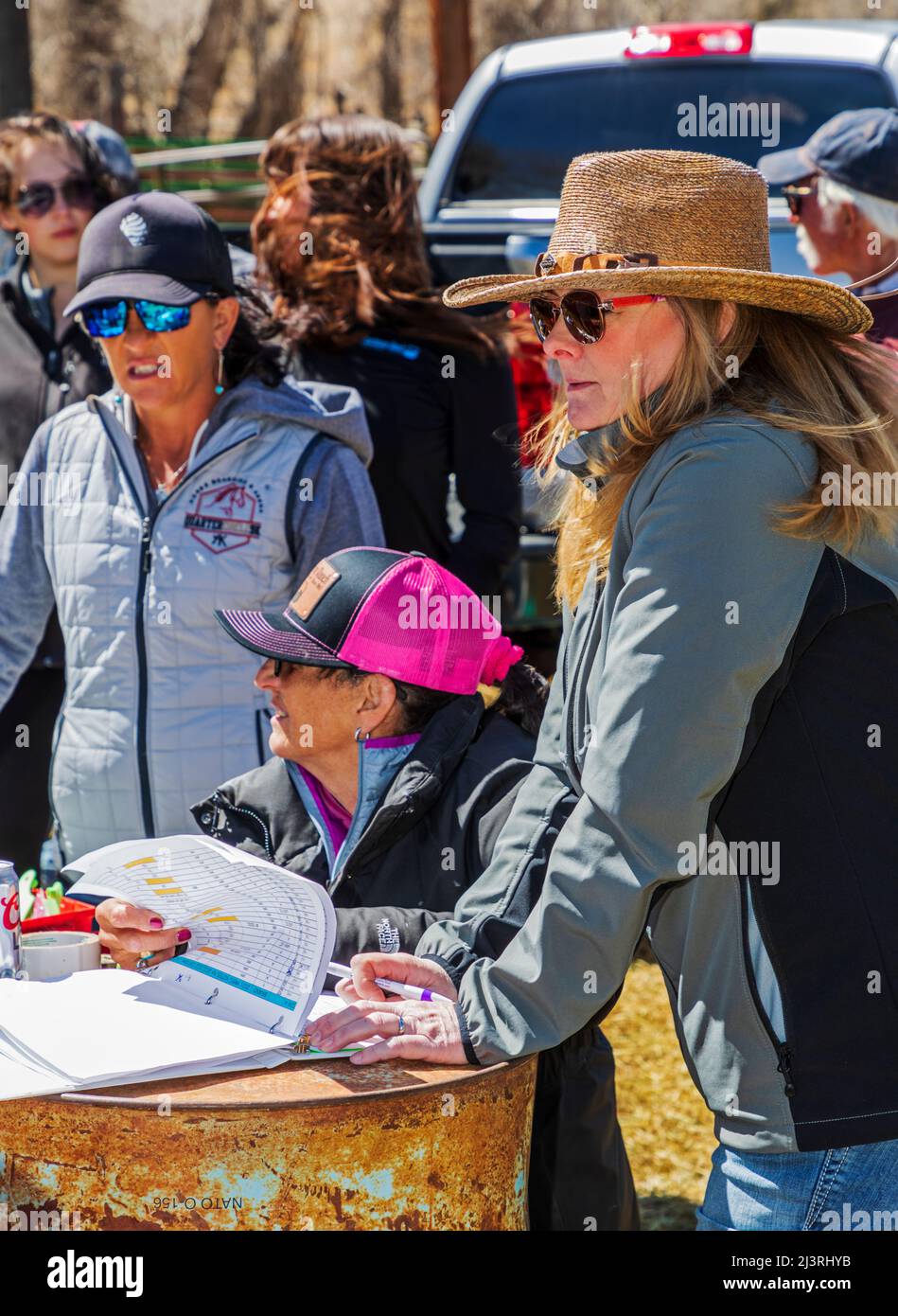 Voluntarios y amigos mantienen su conteo en el evento de marca de primavera en el Hutchinson Ranch cerca de Salida: Colorado; Estados Unidos Foto de stock
