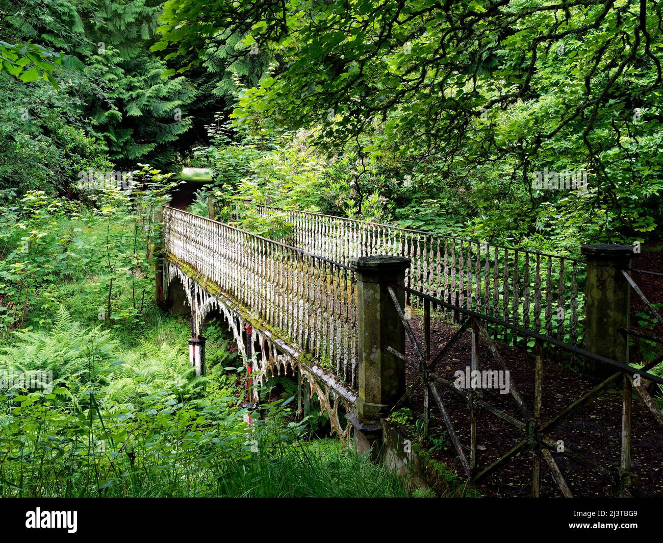 El antiguo puente peatonal de hierro de Stracathro House escondido en el denso bosque su pintura descascarada cubierta de musgos y algas. Foto de stock