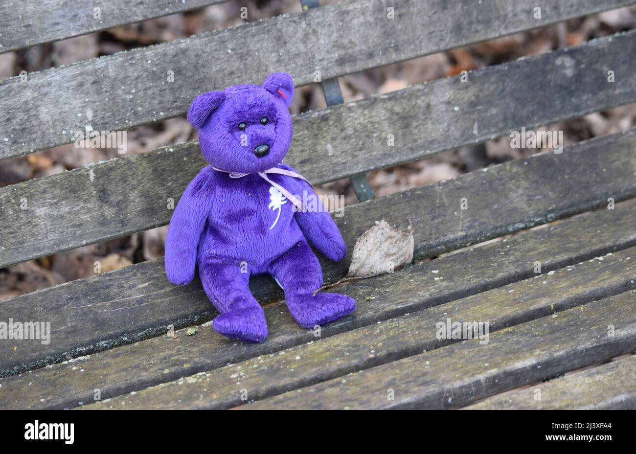 Oso de peluche morado fotografías e imágenes de alta resolución - Alamy