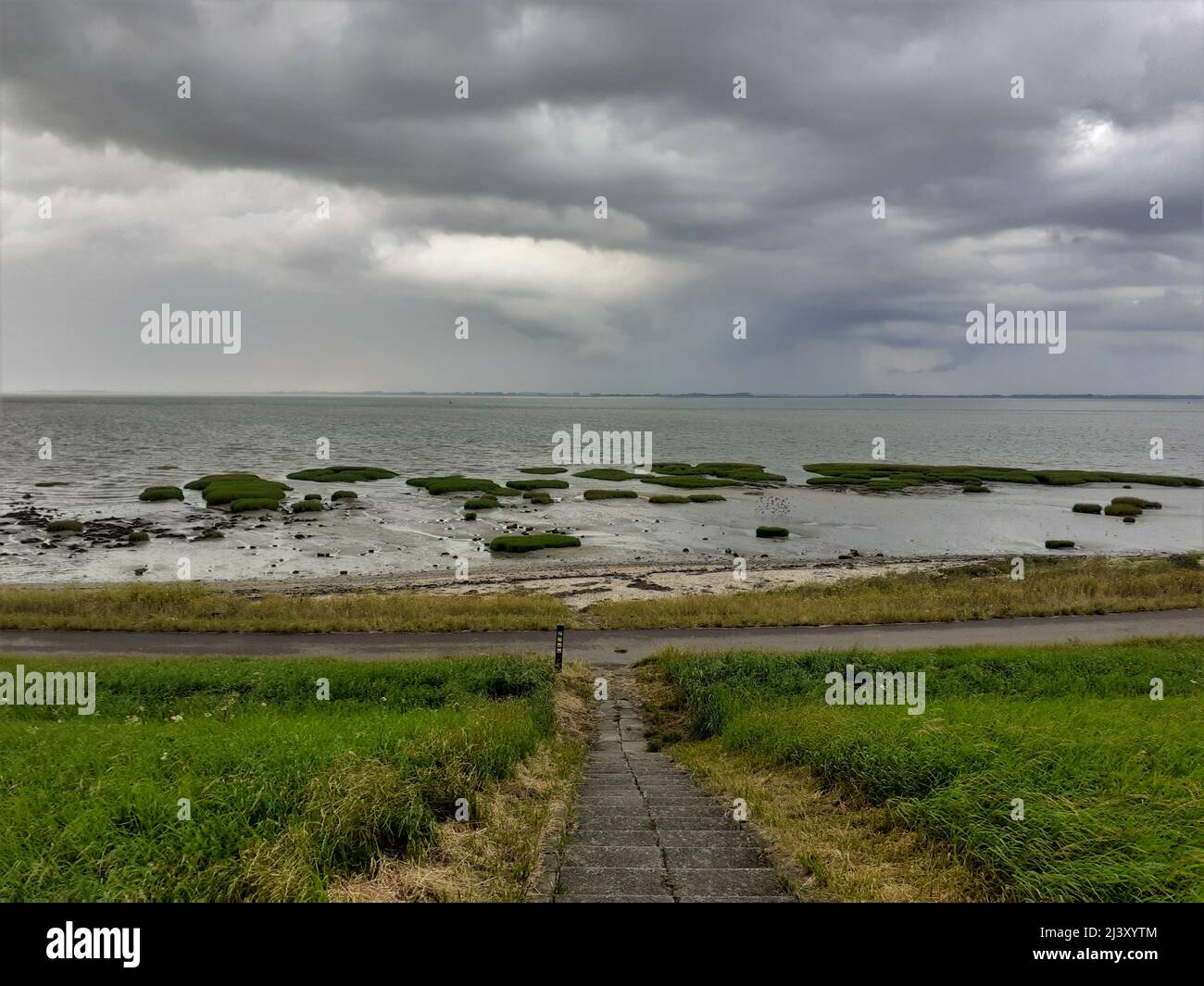 un paisaje costero holandés con jorobadas de pasto en el pantano de sal del agua del mar westerschelde y un gran dique en frente Foto de stock