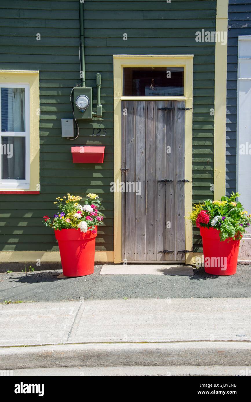 El exterior de una pared de tablón de madera verde con una sola puerta de  madera. Hay dos macetas de flores rojas con flores de primavera coloridas  en ellas Fotografía de stock -