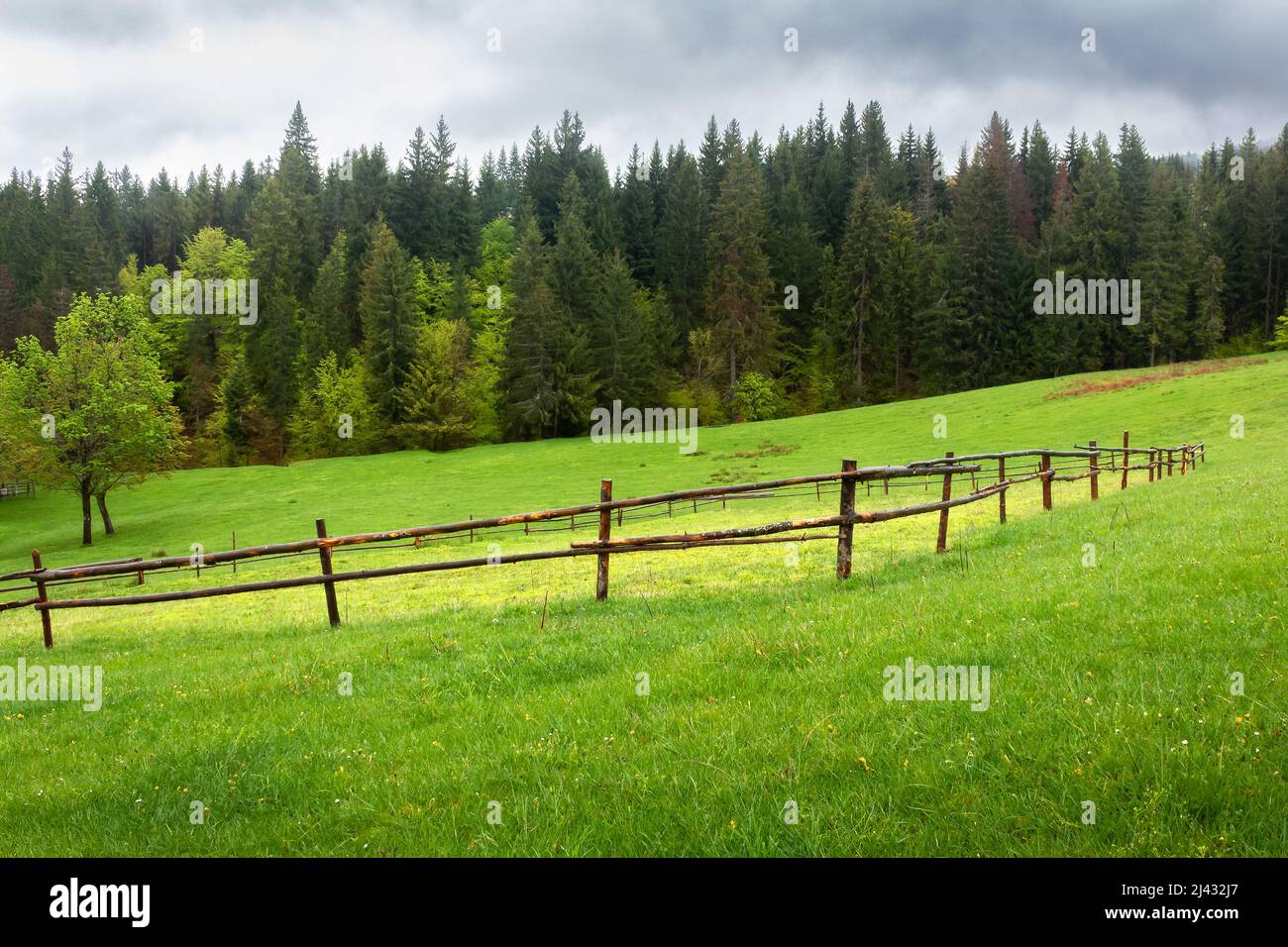 paisaje rural en un día nublado. campo agrícola detrás de la valla de madera. bosque de picea en la colina de hierba. nubes bajas que esconden el lejano m Foto de stock