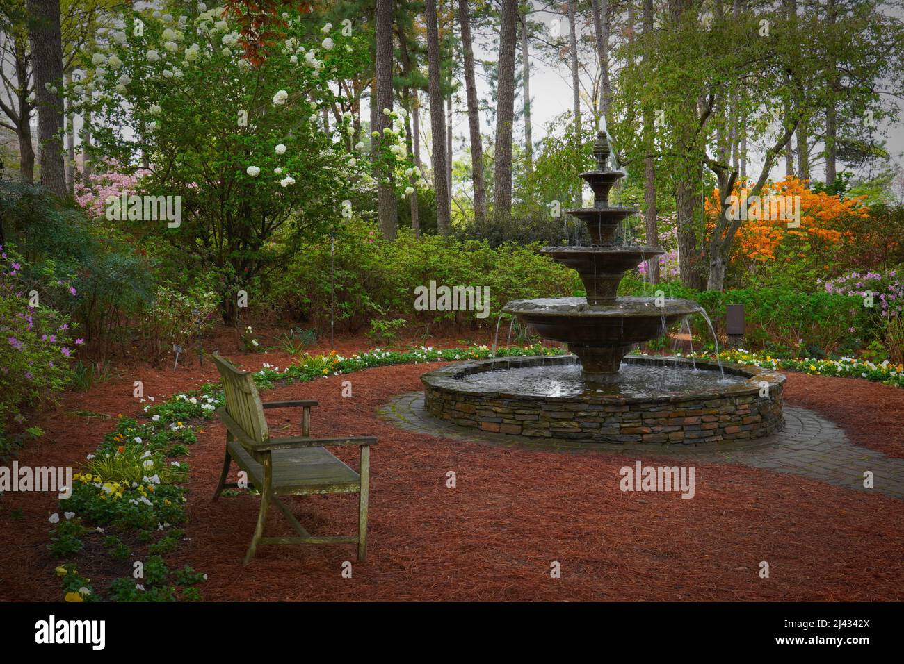 Un lugar tranquilo en un jardín de azalea en Raleigh, Carolina del Norte con un banco, una fuente y flores en flor Foto de stock