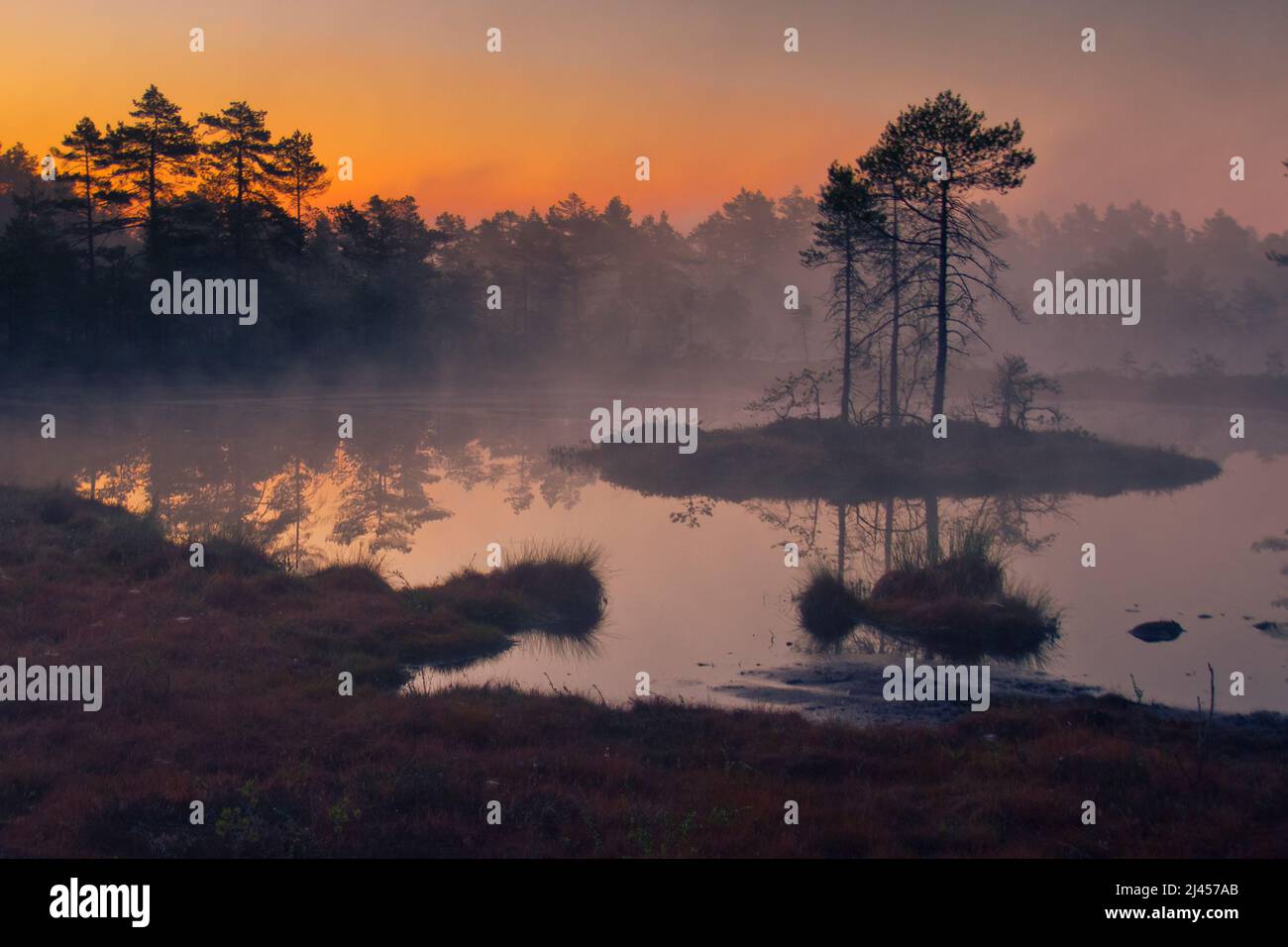 Hochmoor en Schweden bei Tagesanbruch Foto de stock