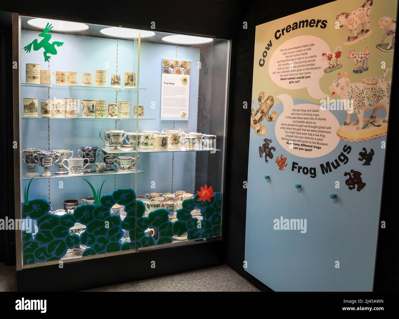 Un caso de exhibición de jarras de rana en el Museo de las Cercanías y Galería de Arte, Hanley, Stoke-on-Trent, Staffs, Inglaterra, REINO UNIDO Foto de stock