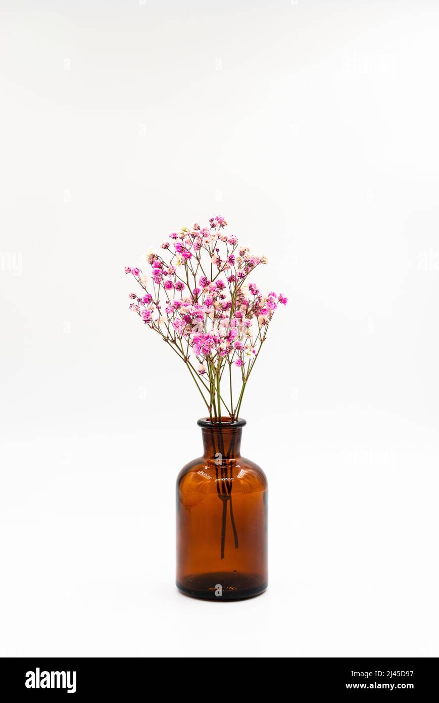 Flores secas en un viejo tarro de farmacia, ahora utilizado como jarrón sobre un fondo blanco. Fotografías de alta calidad Foto de stock