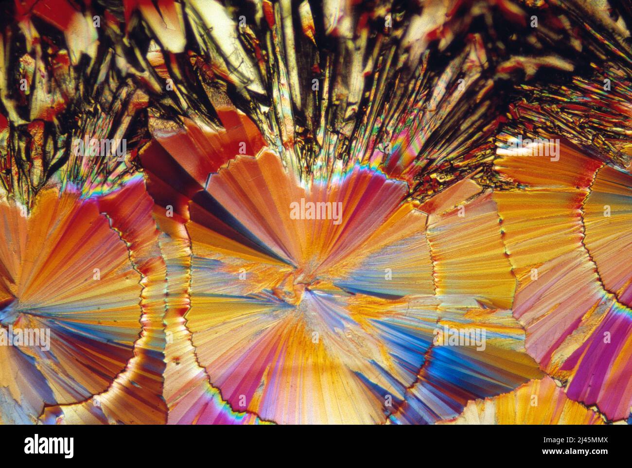 Microscopía. Cristales de azúcar fotografiados en luz polarizada. Foto de stock