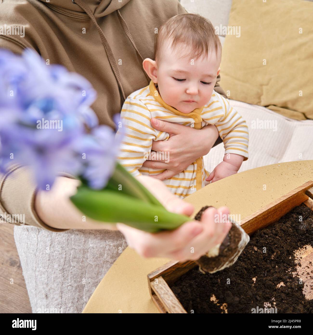 La madre y el niño trabajan con plantas en el jardín de la casa. Mamá  enseña al bebé cómo cuidar de las flores Fotografía de stock - Alamy