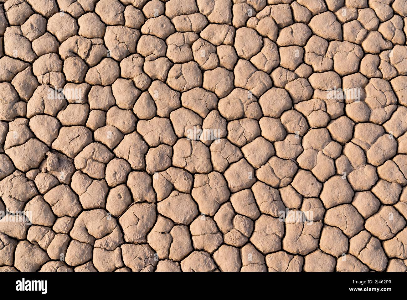 Fondo de lecho de lago resquebrajado seco en el desierto Foto de stock