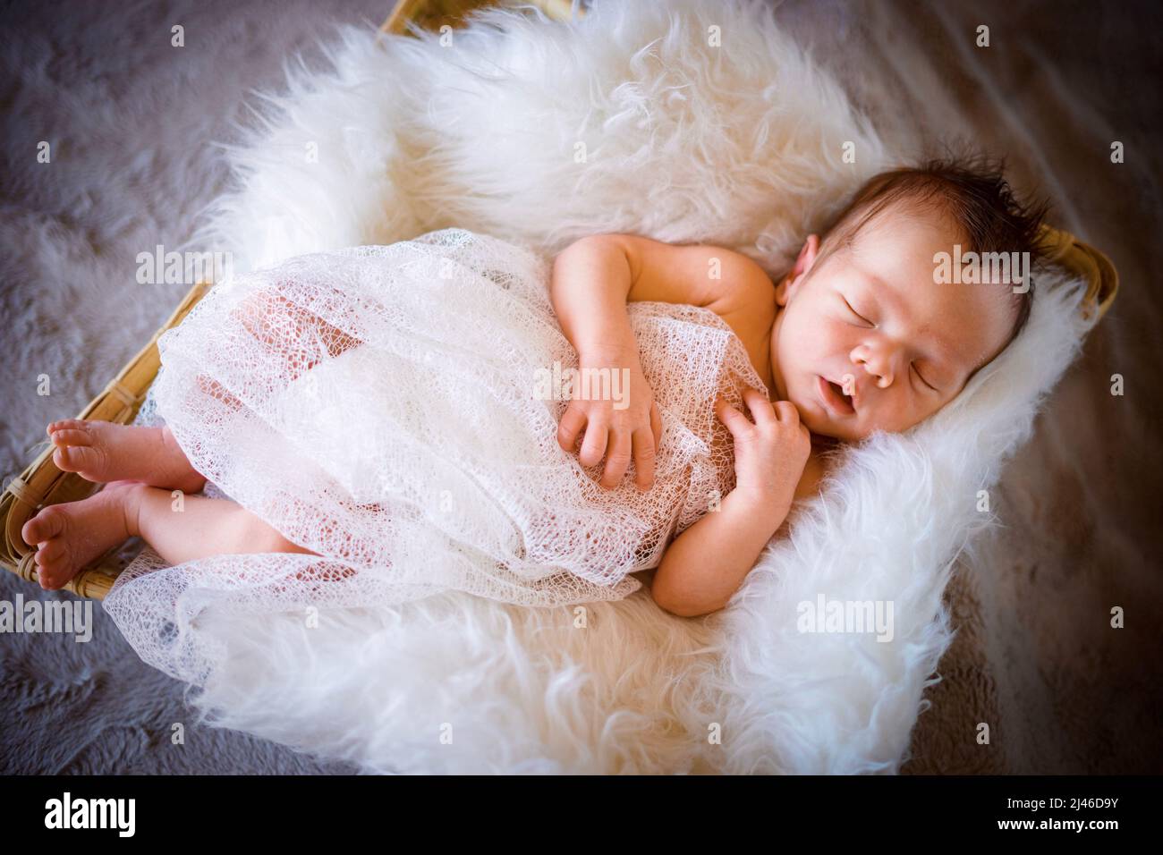 Foto de stock gratuita sobre adorable, bebé, bebé sesión de fotos