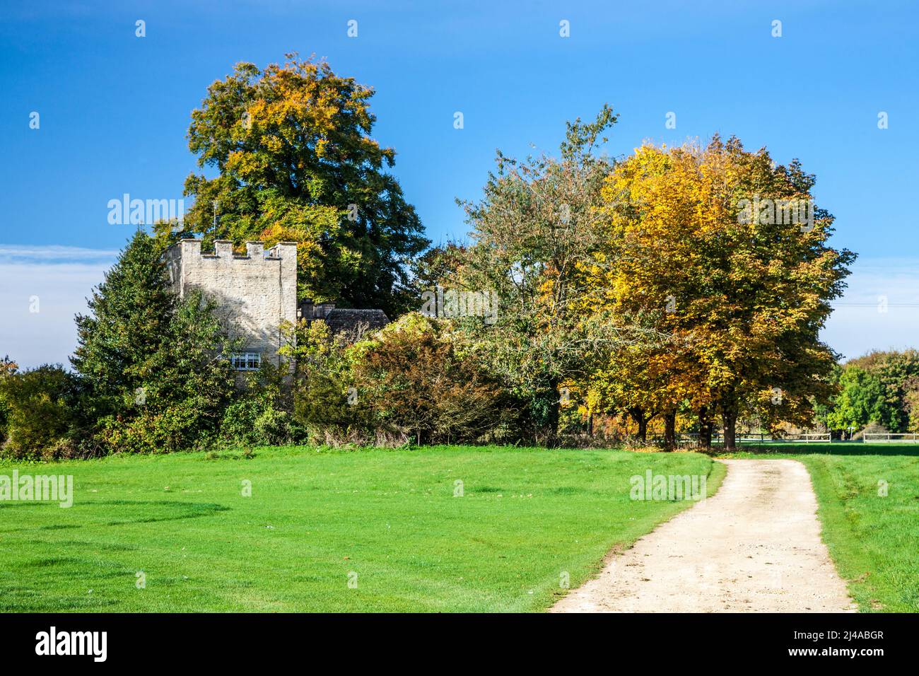 Otoño en Cirencester Park en la finca Bathhurst en Gloucestershire. Foto de stock