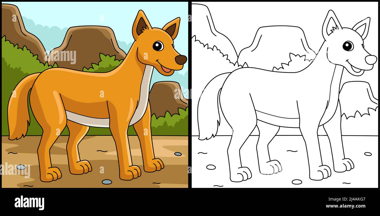 Dingo Animal Coloring Page Colored Illustration Ilustración del Vector