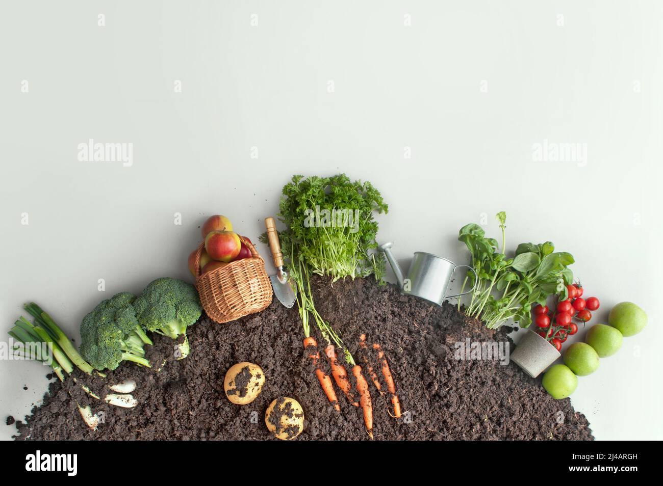 Frutas y verduras que crecen en compost de jardín circular incluyendo zanahorias, papas Foto de stock