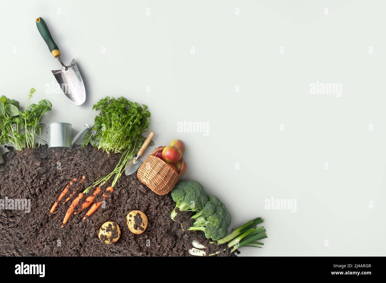 Frutas y verduras que crecen en compost de jardín circular incluyendo zanahorias, papas Foto de stock