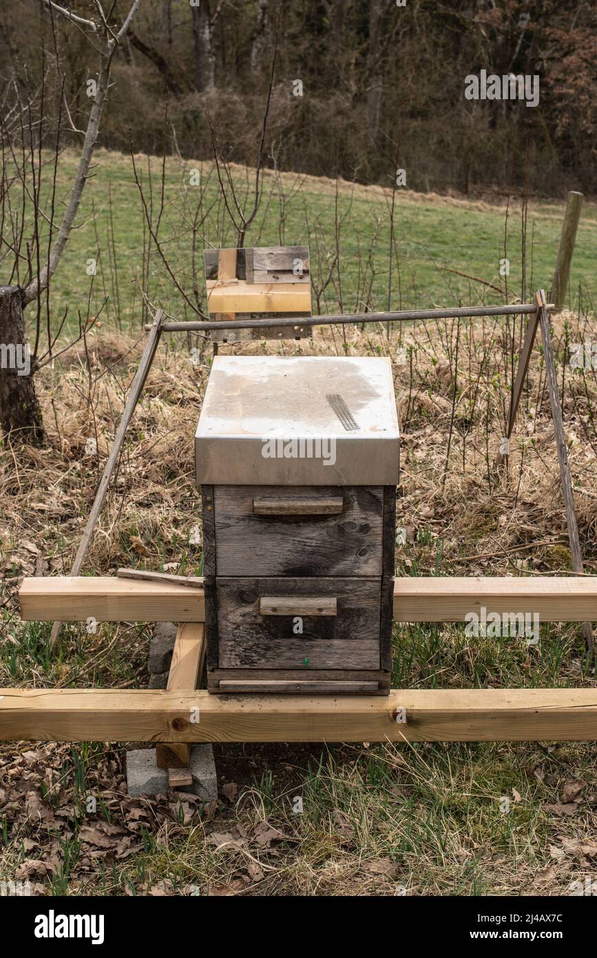 una colmena de abejas de madera en el país con un espejo para observar el agujero de entrada Foto de stock
