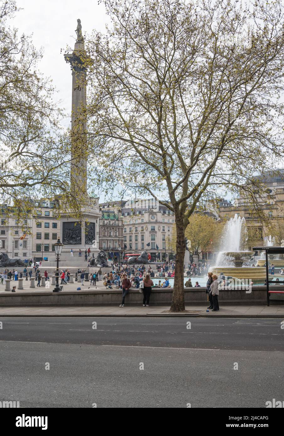 La gente sale y se acerca en un cálido día de primavera en Trafalgar Square. Londres, Inglaterra, Reino Unido Foto de stock