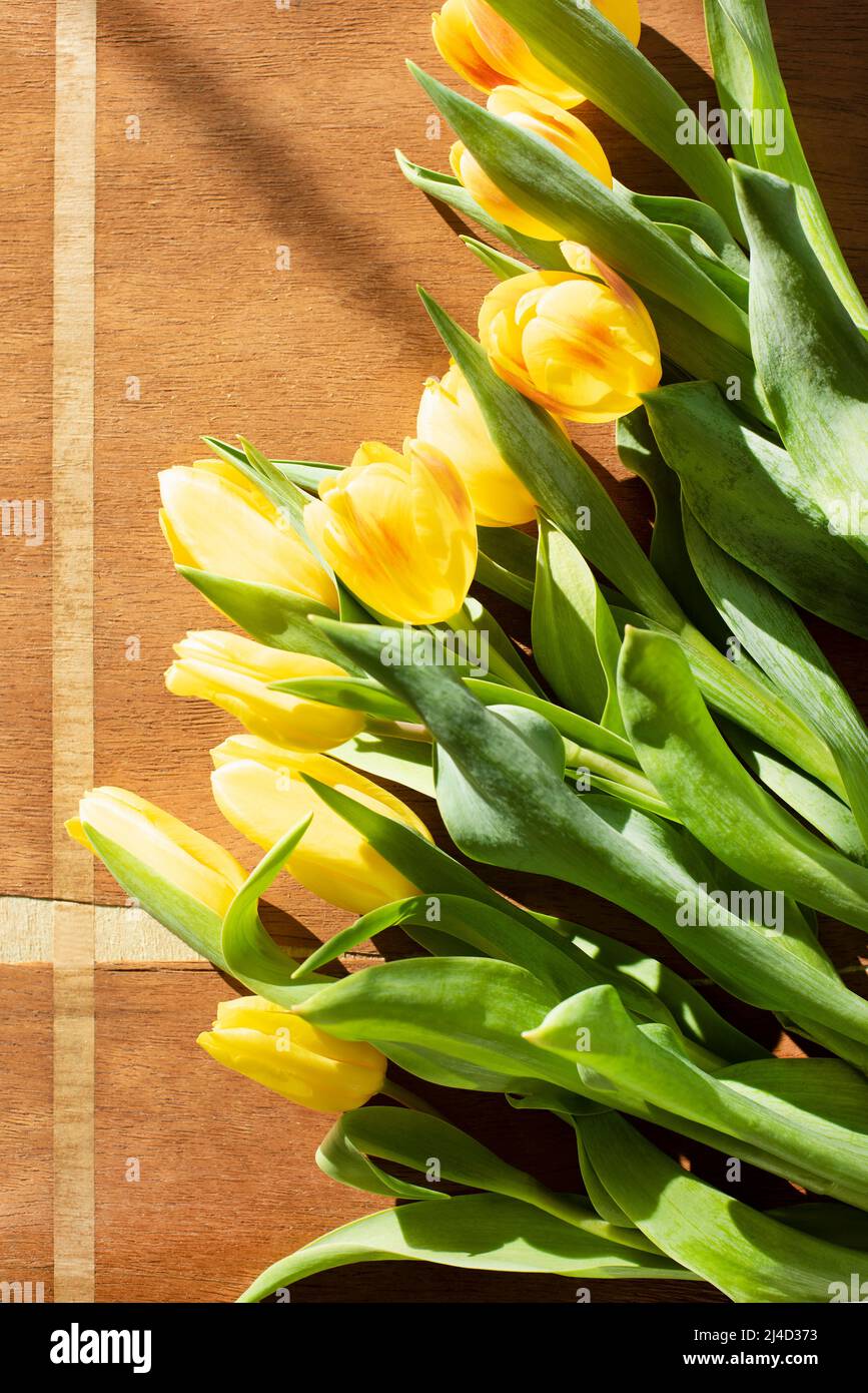 Los tulipanes sobre fondo de madera Foto de stock