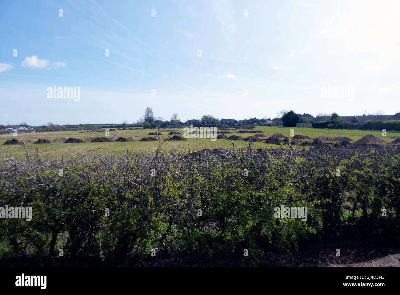 Cobertura frente al campo con cielo azul cerca del pueblo de Ruskington, Sleaford, Lincolnshire, Inglaterra, Reino Unido Foto de stock