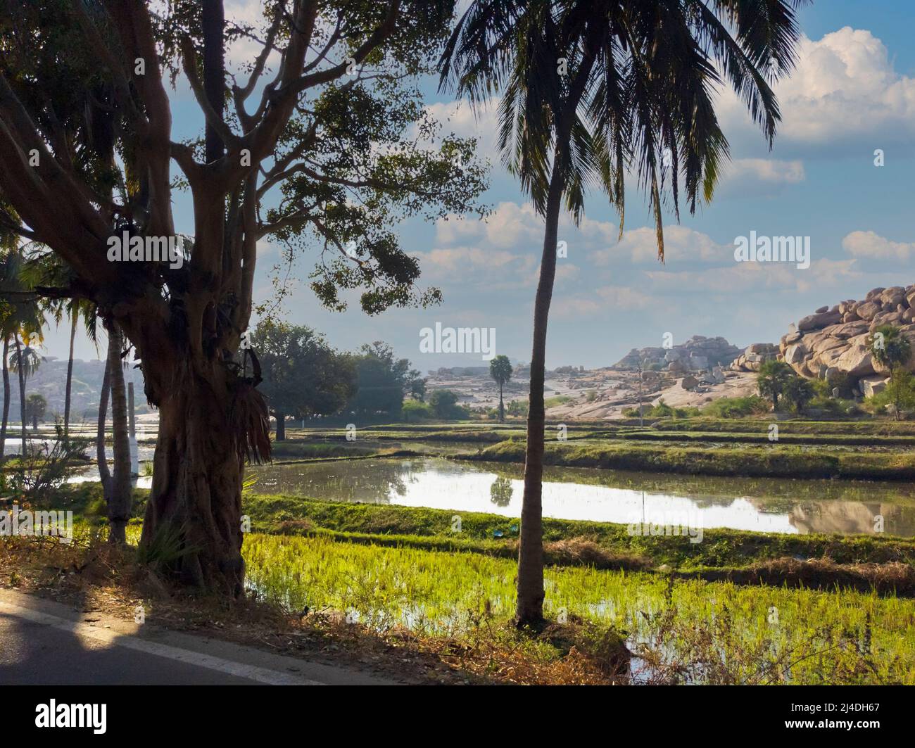 Una hermosa vista de los formadores arrozales en Anegundi Foto de stock