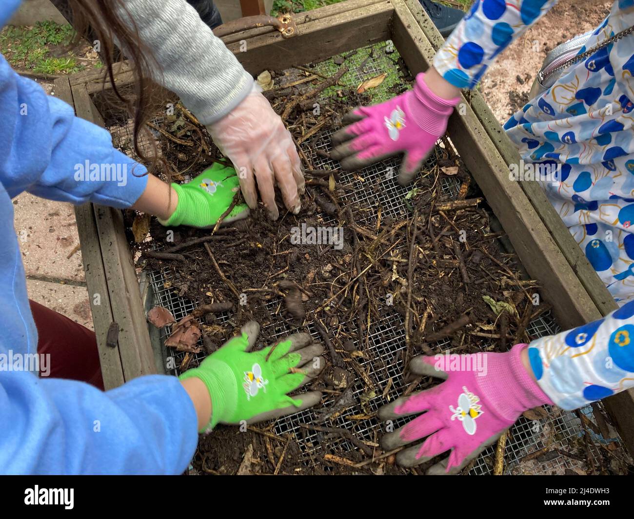 Los jardineros sift abono en un jardín comunitario en Nueva York el sábado, 9 de abril de 2022. (© Frances M. Roberts) Foto de stock