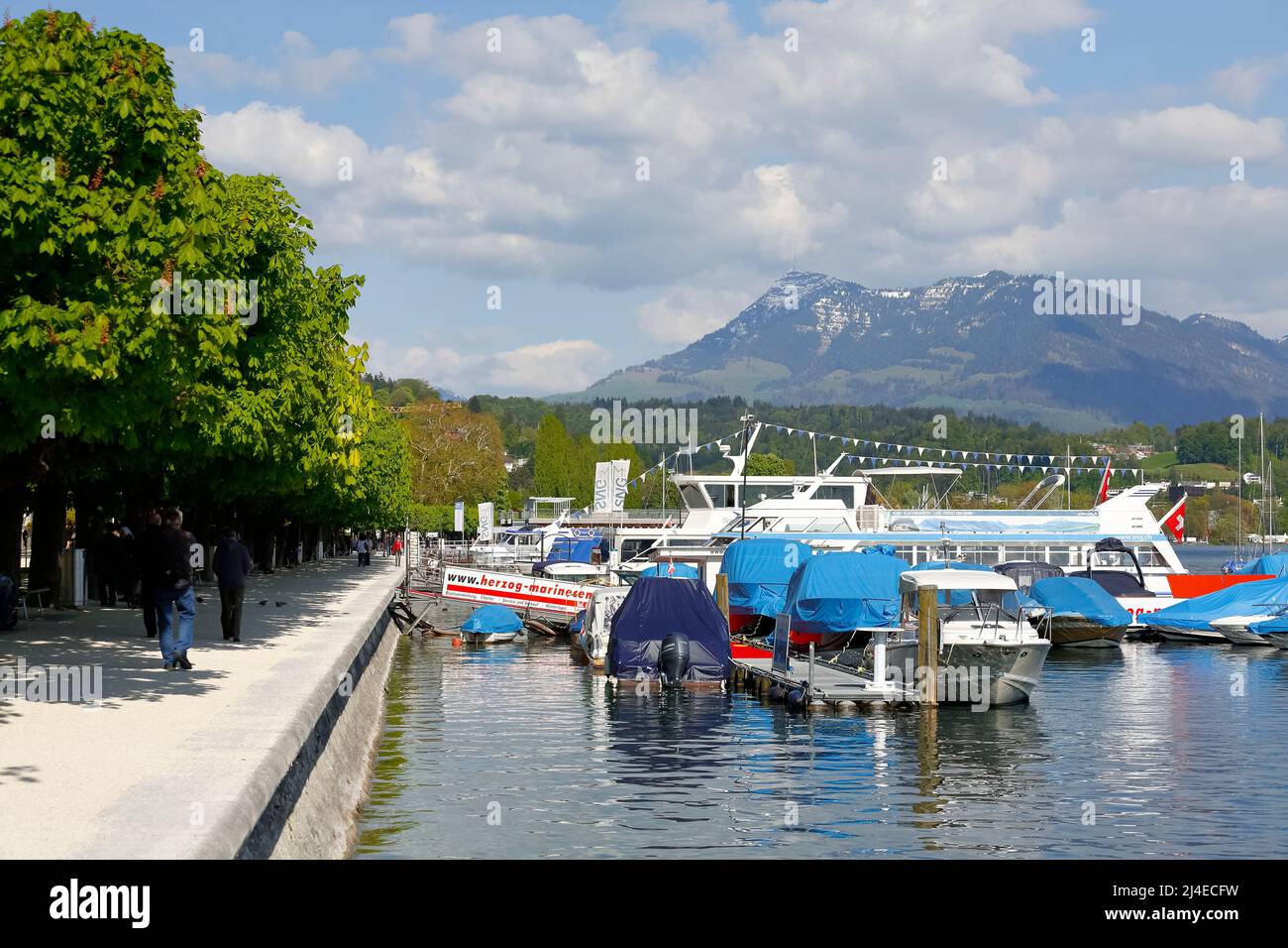 Lucerna, Suiza - 04 de mayo de 2016: Barcos en el puerto deportivo del lago Lucerna. El cercano paseo marítimo a lo largo del lago, que es visitado a menudo por los turistas, fuera Foto de stock