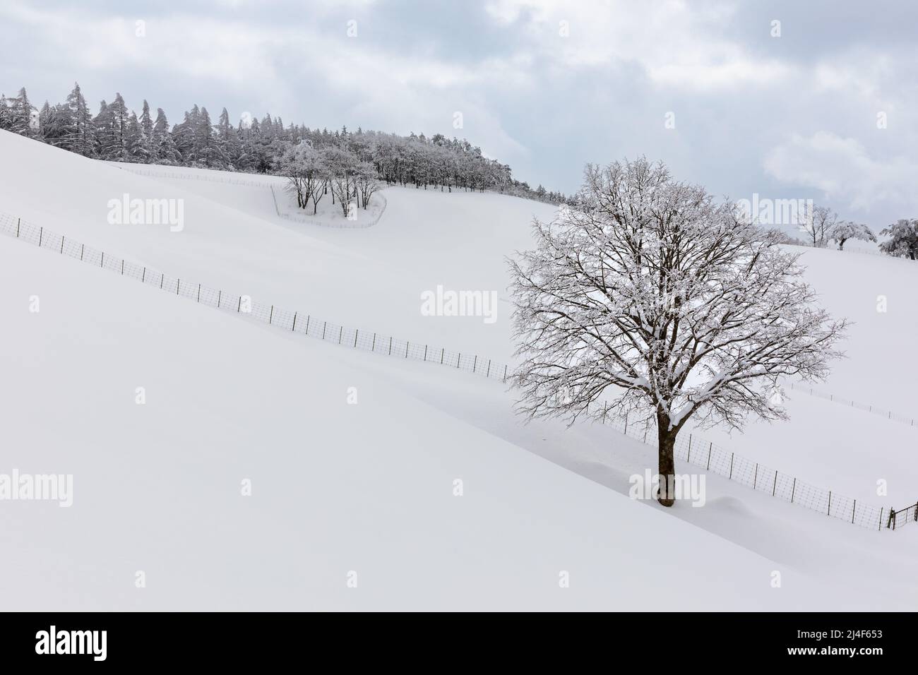 Hermosa montaña de invierno, escena de nieve (Daegwallyeong, Gangwon-Do, Corea del Sur) Foto de stock