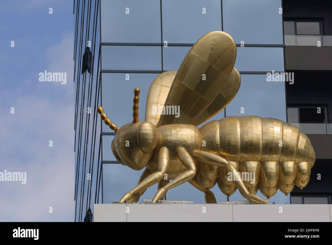 El gigante Queen Bee en un lado de la Torre Eureka, en el Southbank de Melbourne. Foto de stock