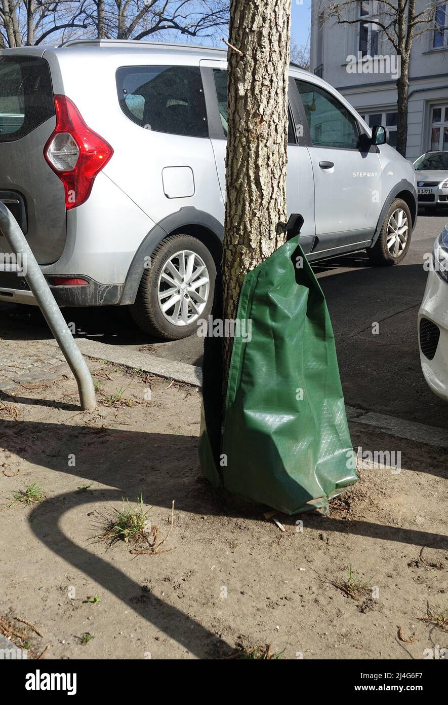 Berlín, Alemania. 21st Mar, 2022. Una bolsa de riego de árbol está unida a  un árbol en una calle en el distrito de Friedrichshain. La bolsa está  cerrada con cremallera al árbol