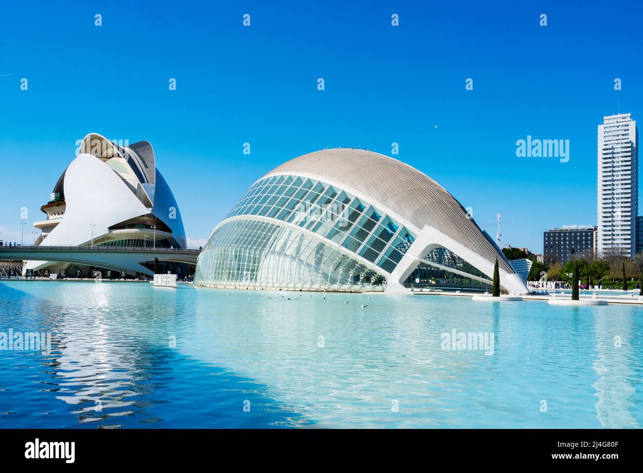 Español, Valencia, Ciudad de las Artes y las Ciencias (Stadt der Künste und Wissenschaften