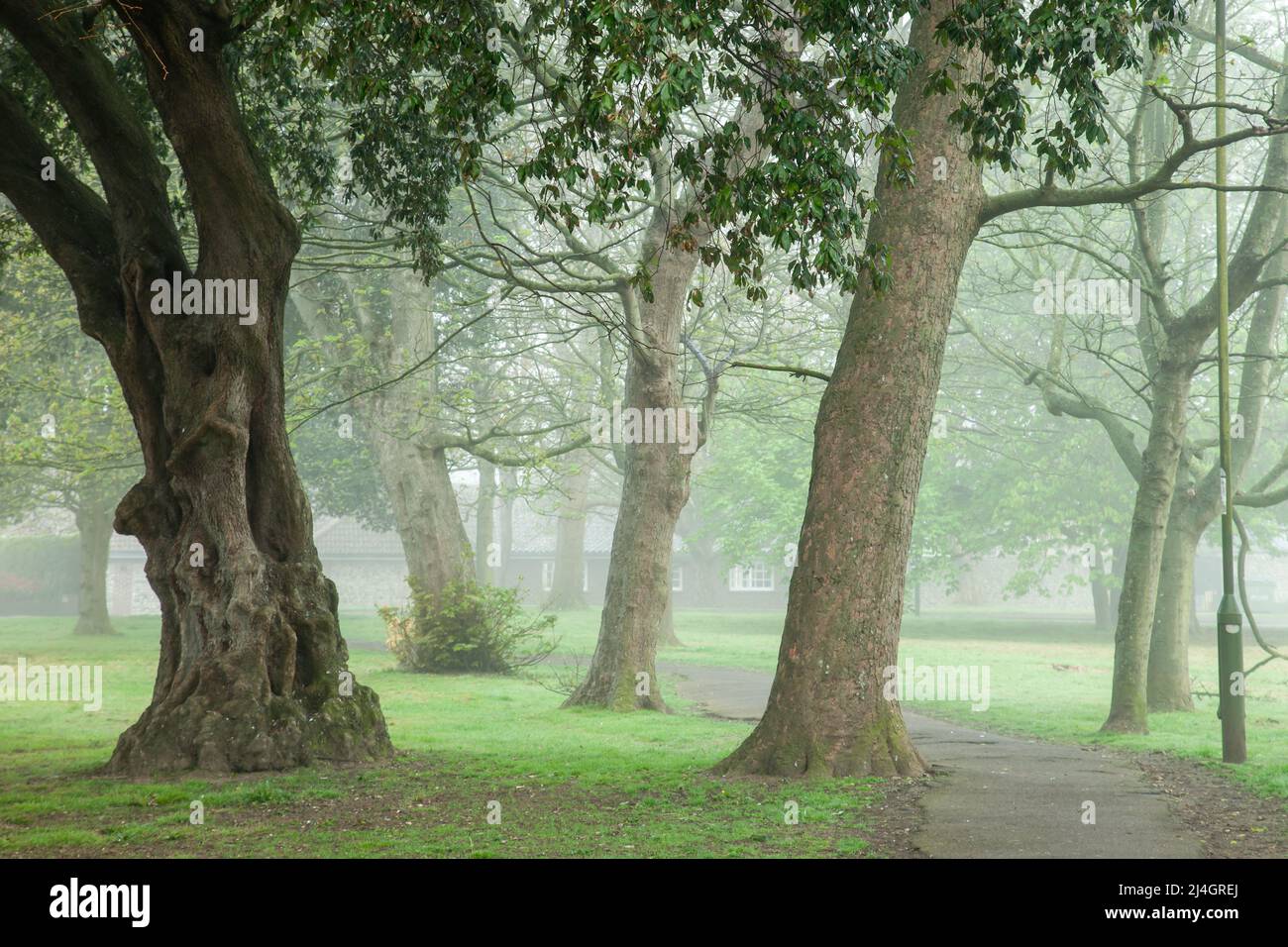 Misty primavera mañana en Southwick, West Sussex, Inglaterra. Foto de stock