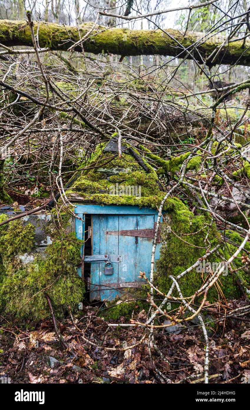 Misteriosa puerta en el bosque Strawberry Gardens Windermere Cumbria Foto de stock