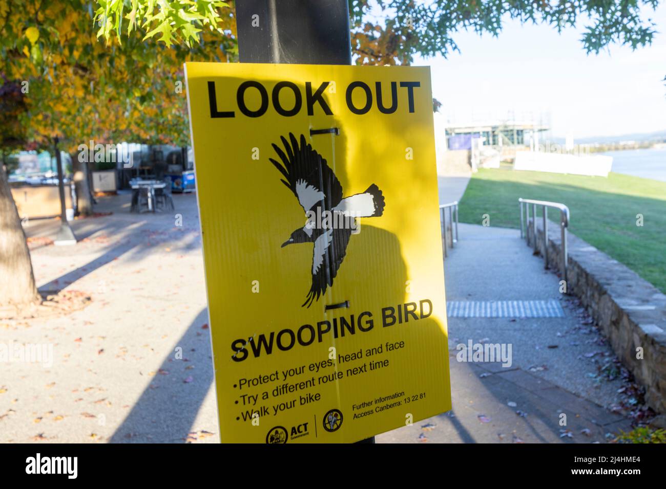 Señal de advertencia para las tortas de pájaros en ciénaga, Canberra, Australia Foto de stock