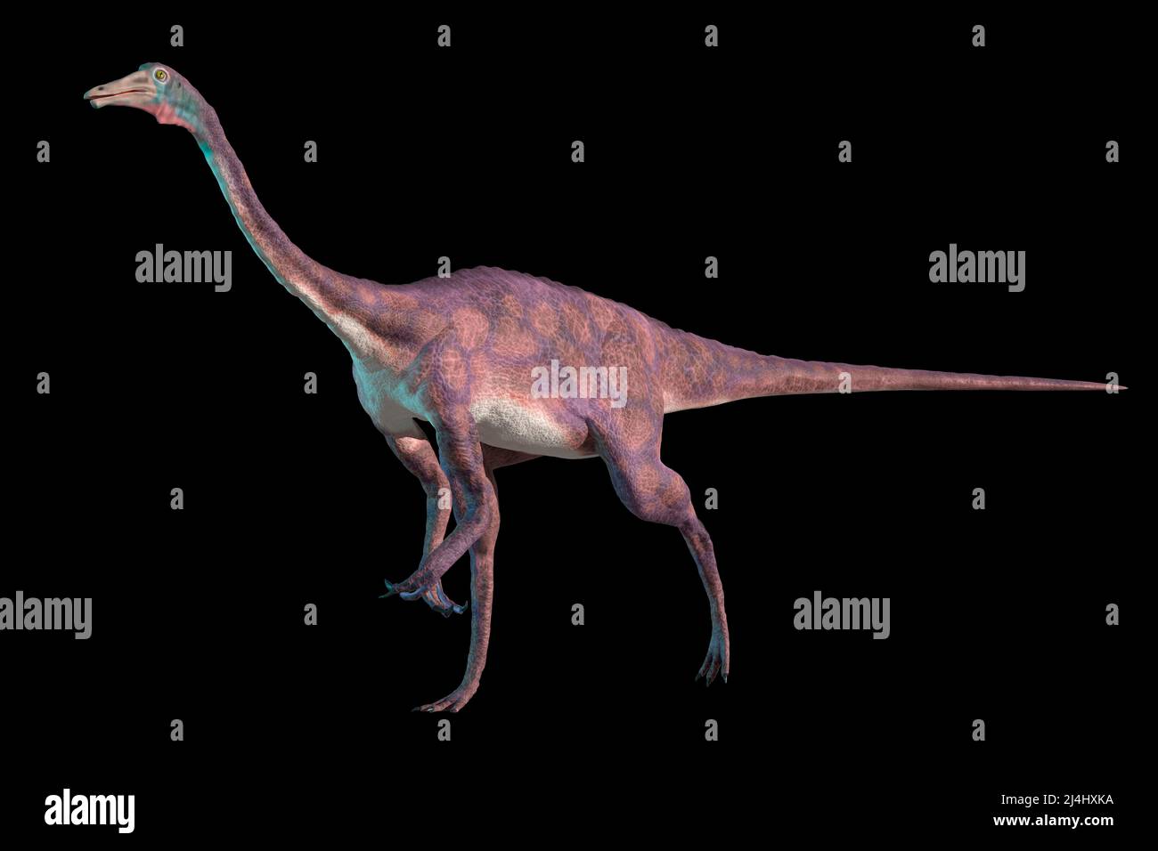Obra de arte de dinosaurio Gallimimus Foto de stock