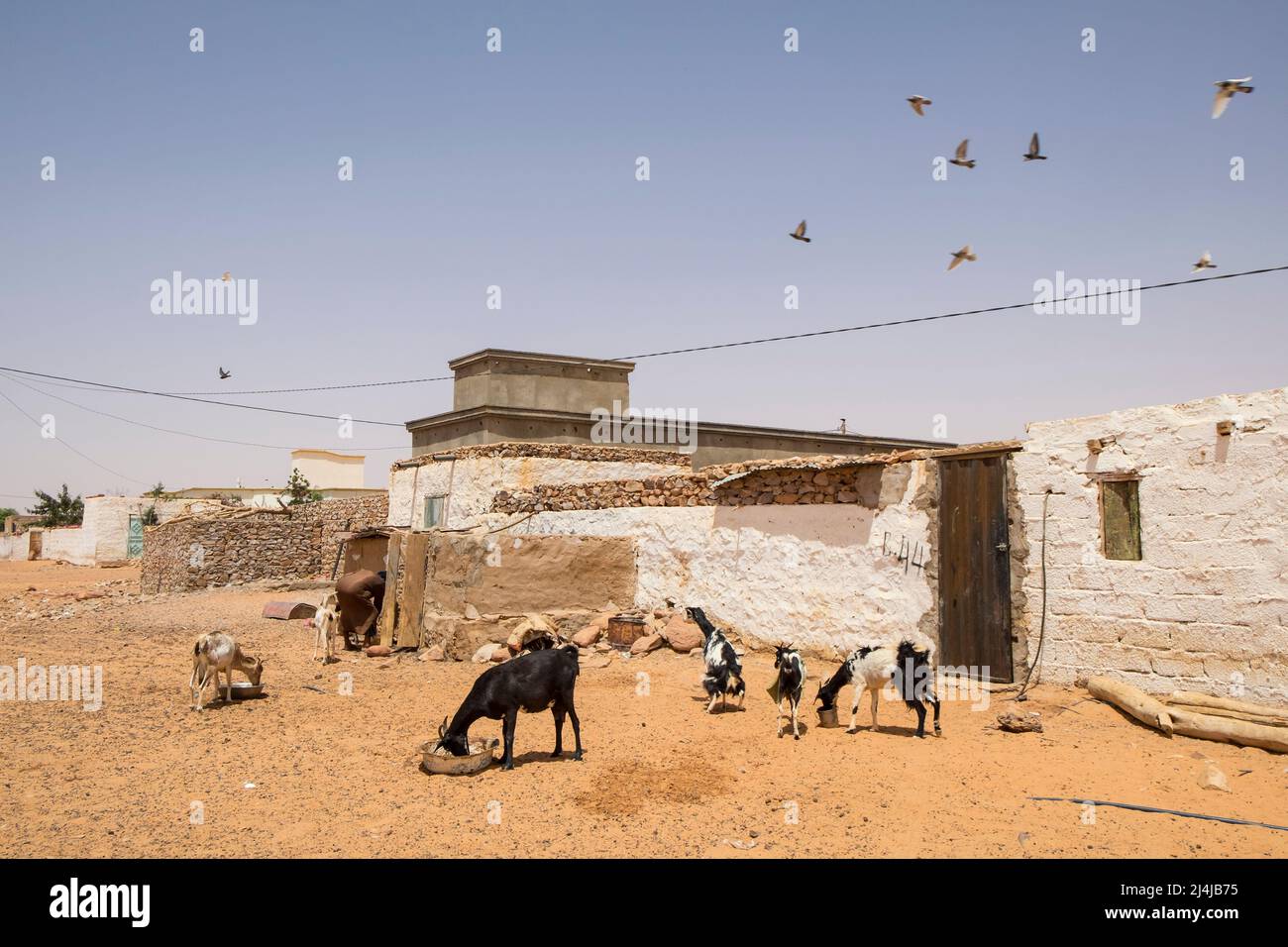 Mauritania, Chinguetti Foto de stock
