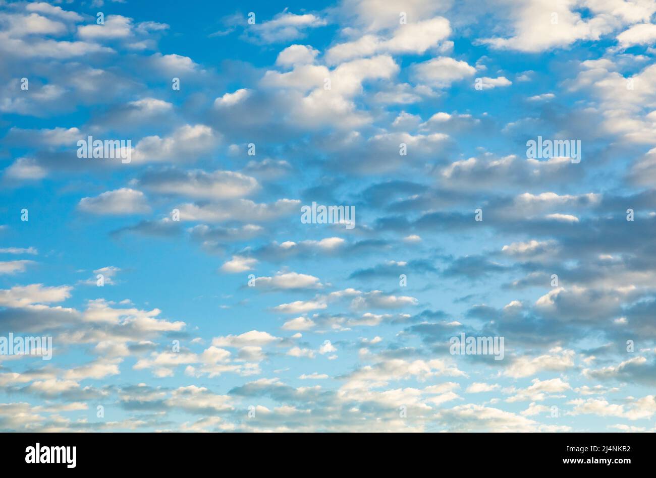 Nubes blancas hinchadas en un cielo azul temprano por la mañana sobre el desierto del sur de California. Foto de stock