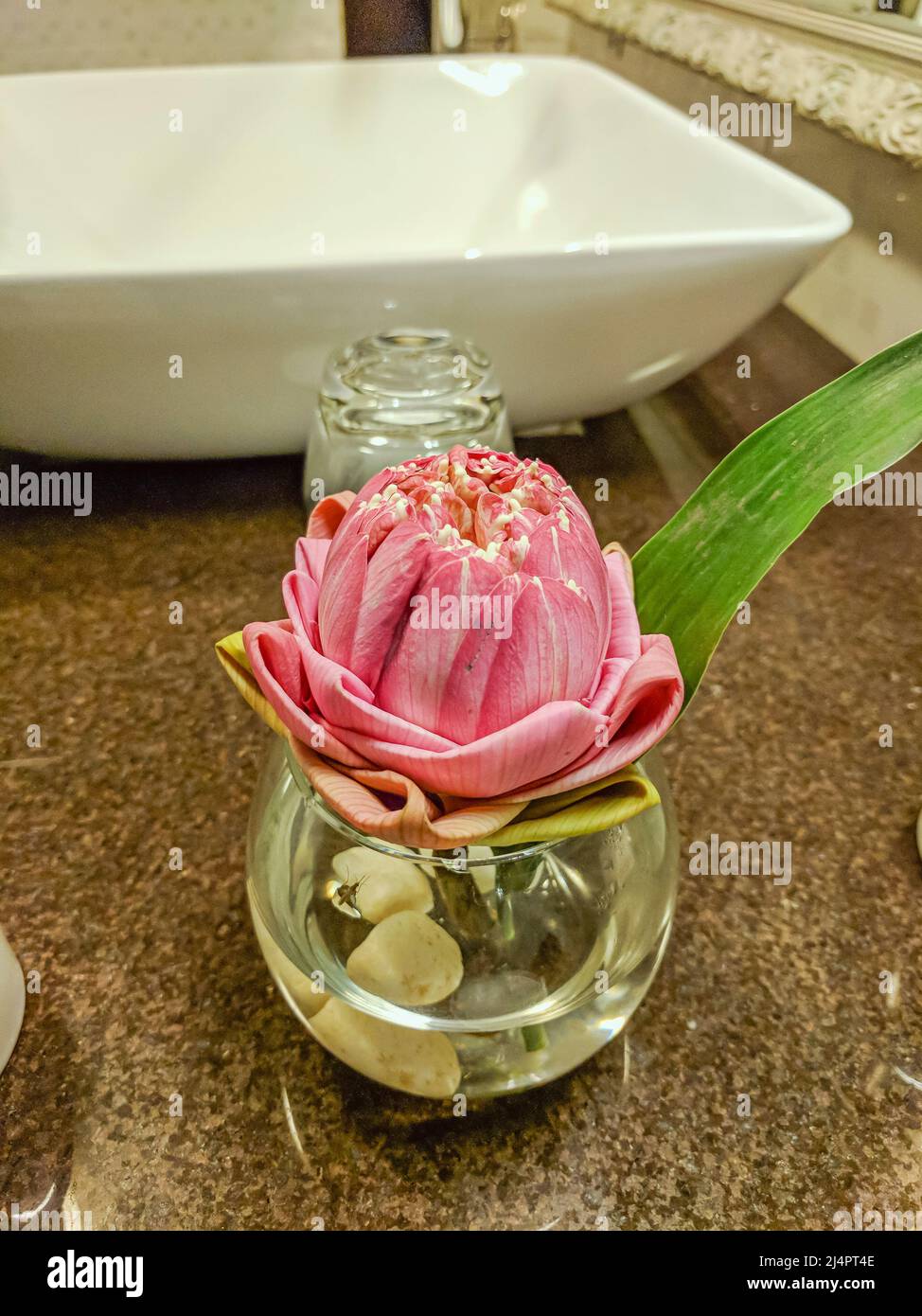 Flor de loto en el baño de un hotel, Vietnam Fotografía de stock - Alamy