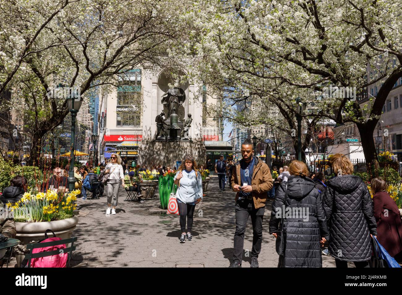 Herald Square en primavera está lleno de árboles en flor, en el centro de la ciudad, Nueva York, NY, Estados Unidos. Foto de stock