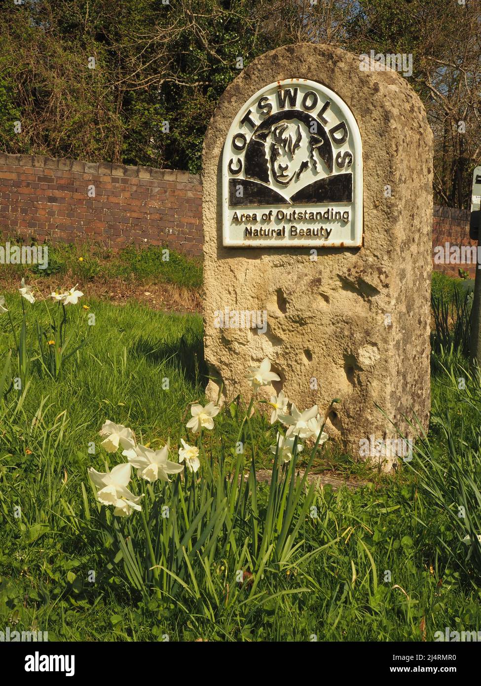 Piedra que representa una oveja, marcando la entrada a la zona de Cotswolds de belleza natural excepcional (AONB), nr. Combe Hay, Somerset, Inglaterra, narcissi. Foto de stock